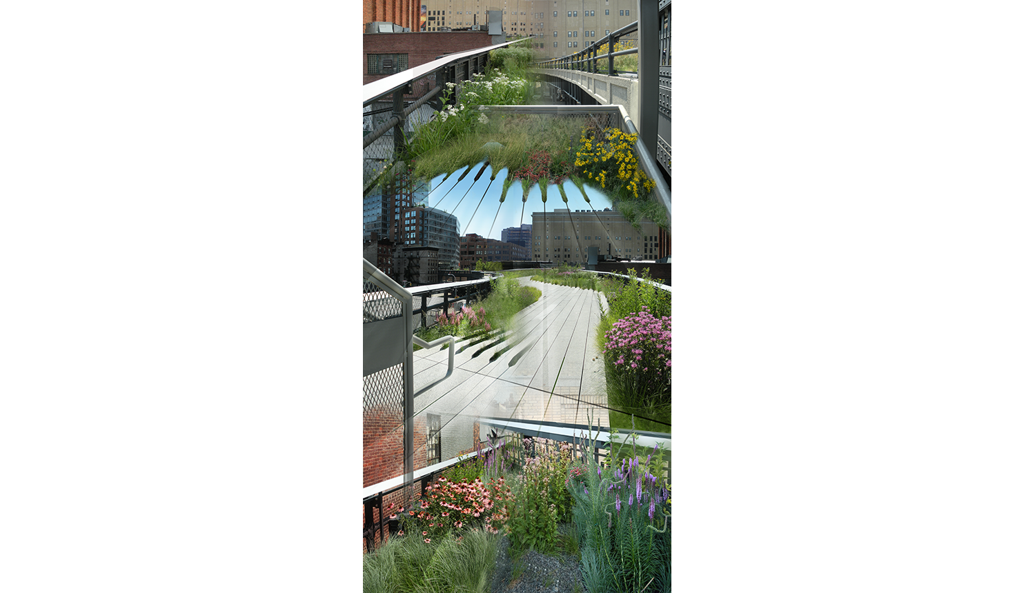   High Line Two (Les Fleures) , 2009, Digital C print, 26 x 50” 