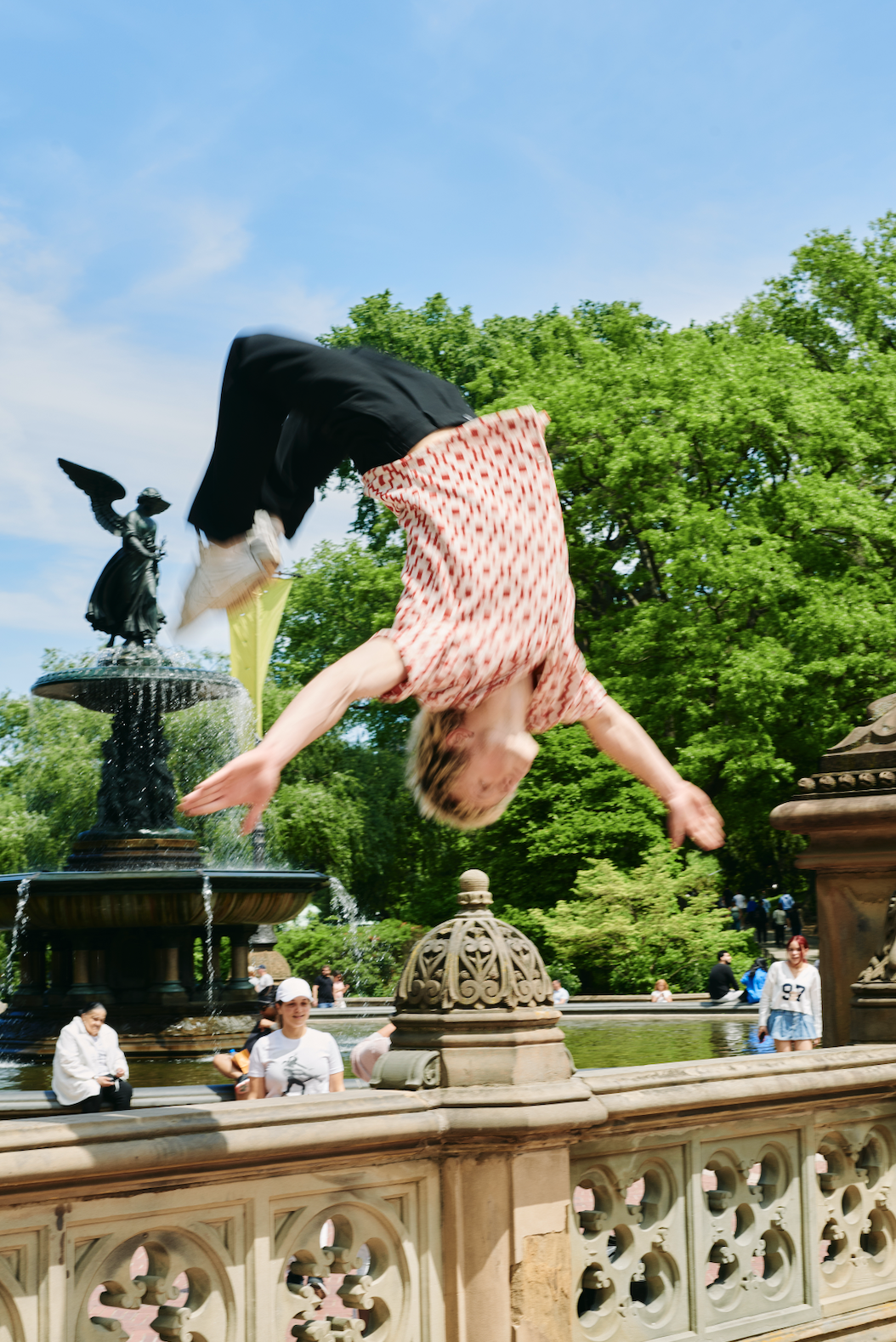 New York Circus Project