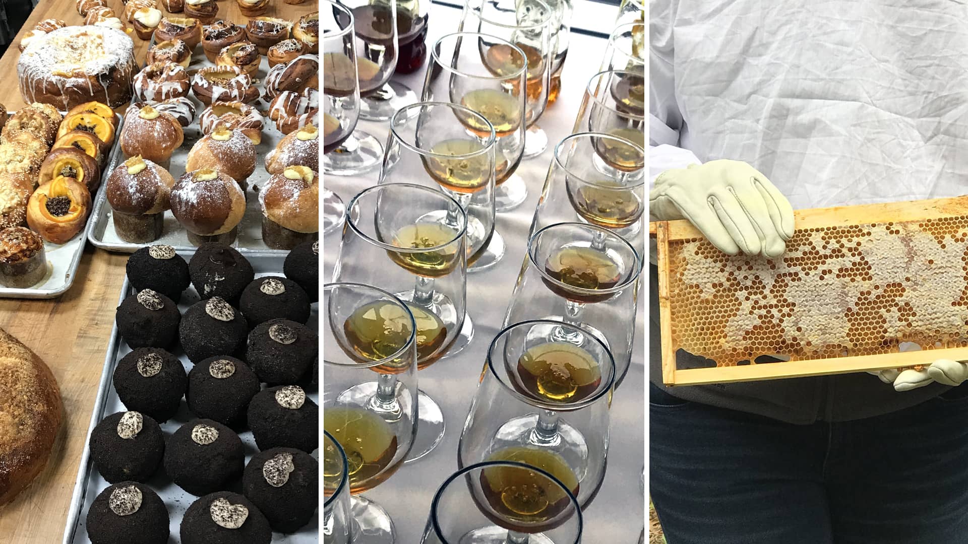 honeysummit1.jpg