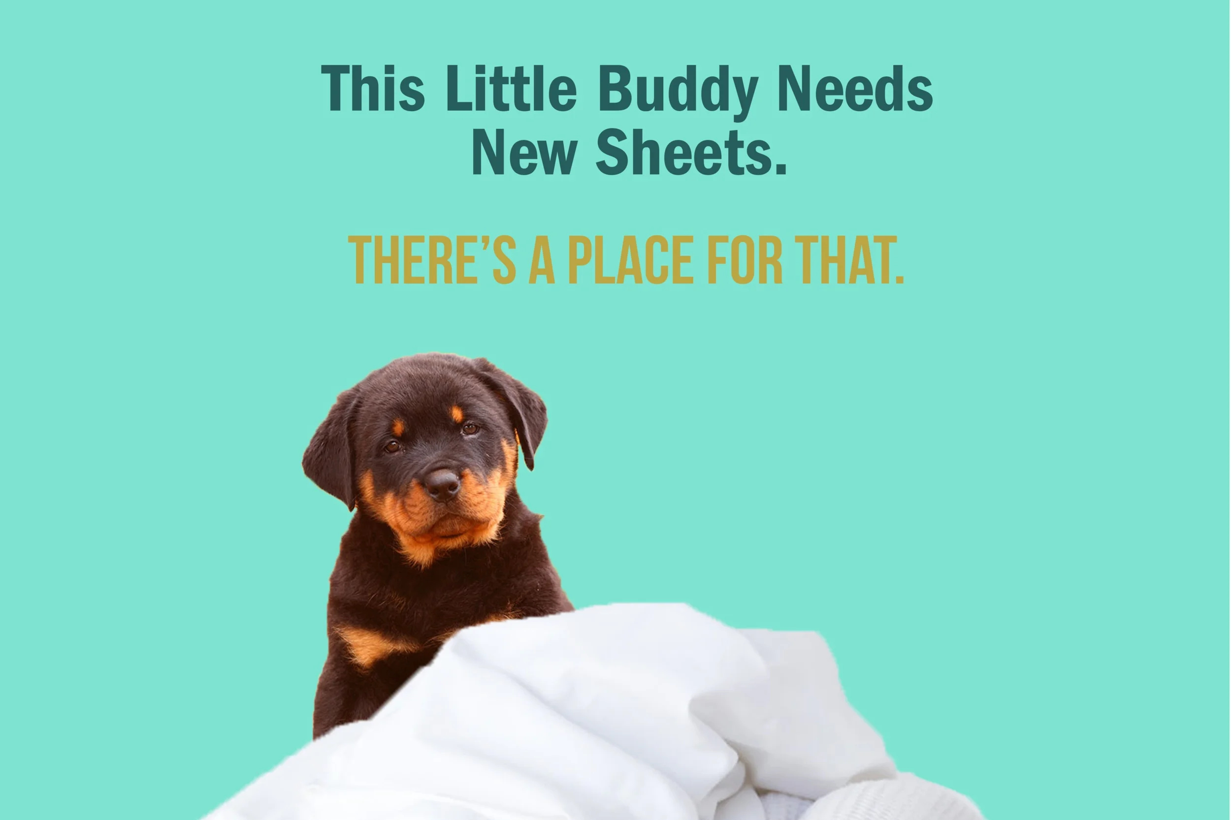 Linens+IG.jpg