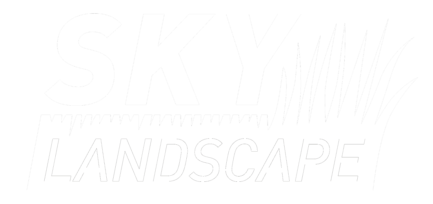 Sky Landscape