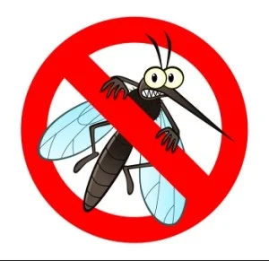 mosquito.jpg
