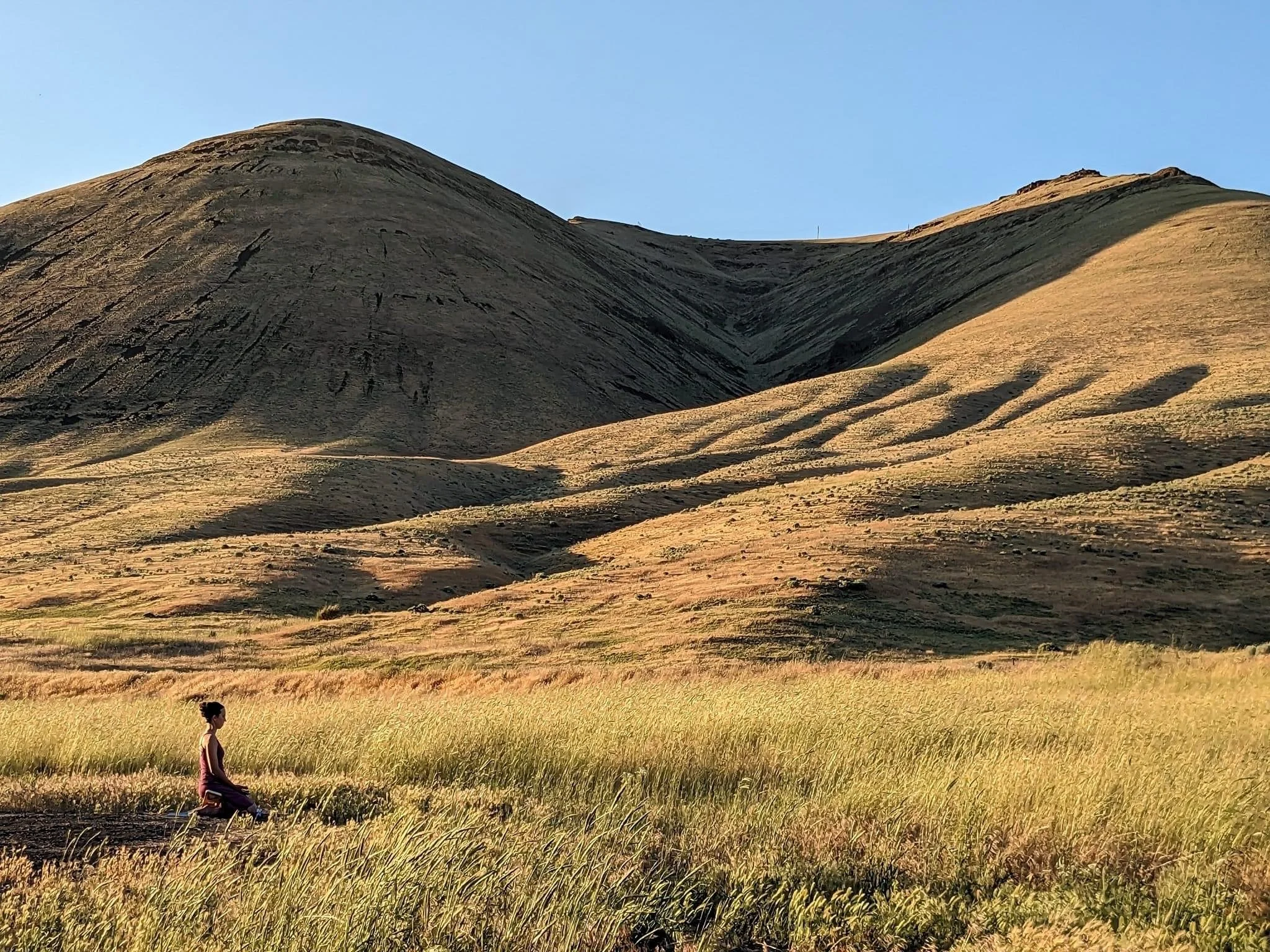 My Journey With Mindfulness (Part I) 