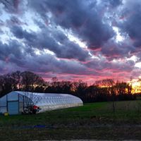 Sunset over the farm