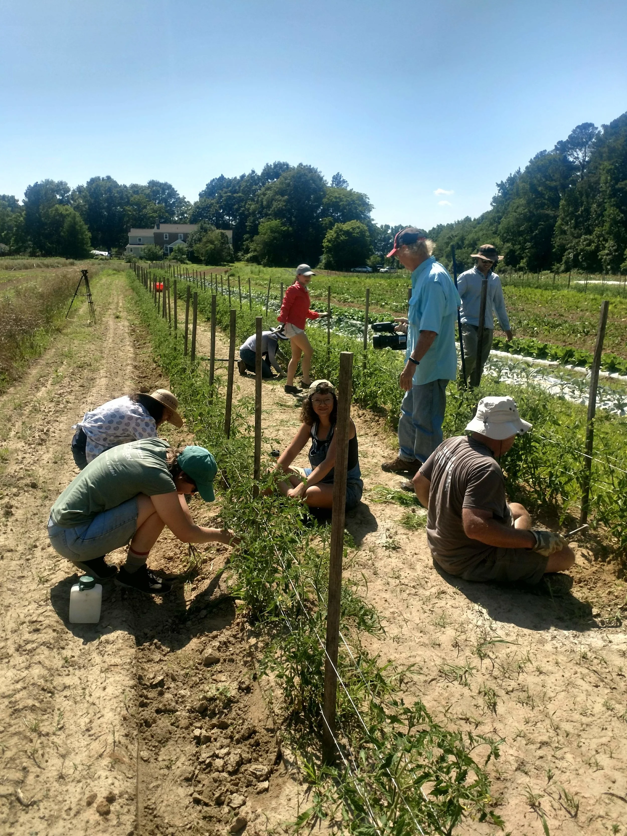 Our first weeding party was a success - thanks to you!