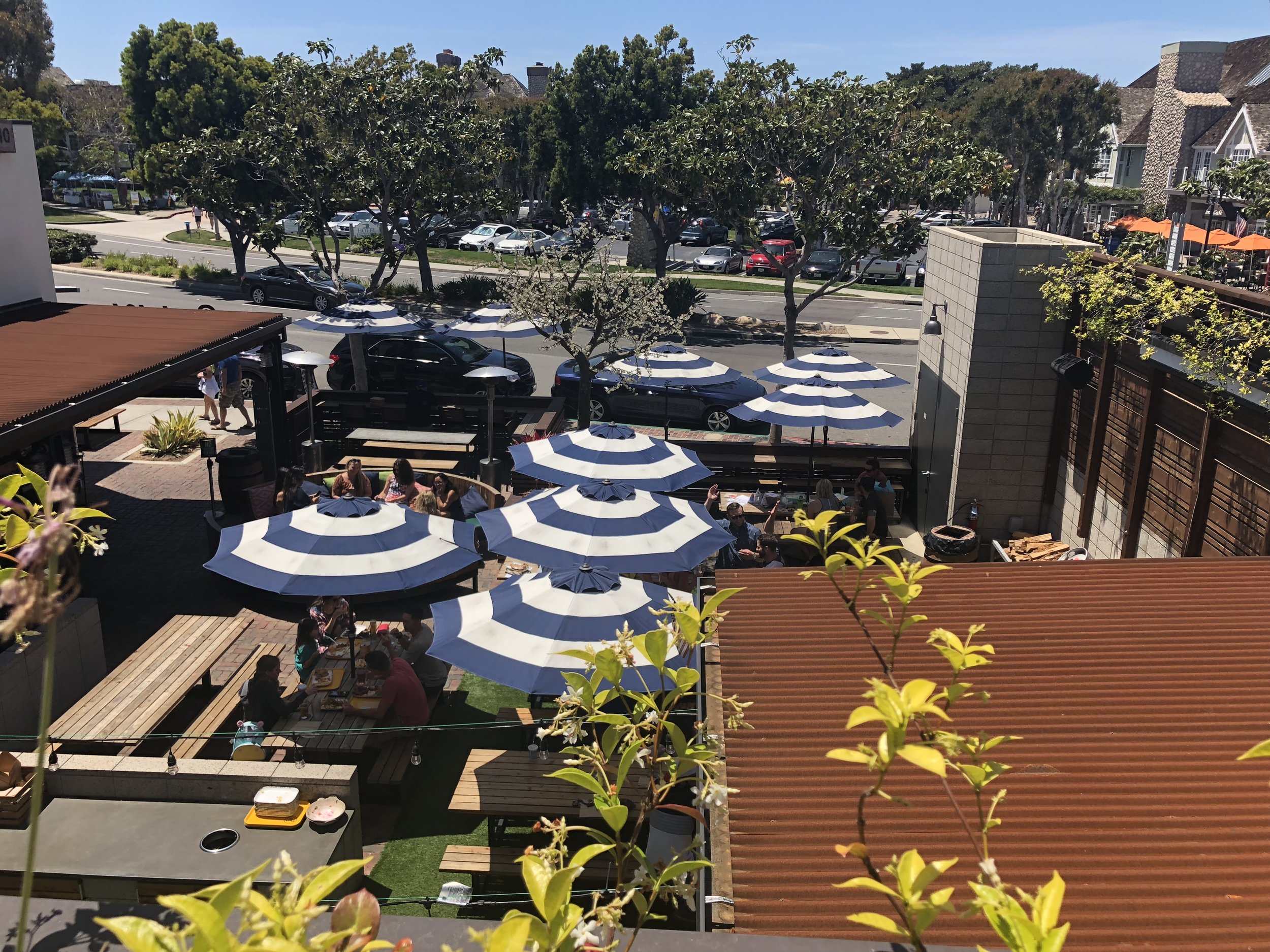 park 101 view.jpeg