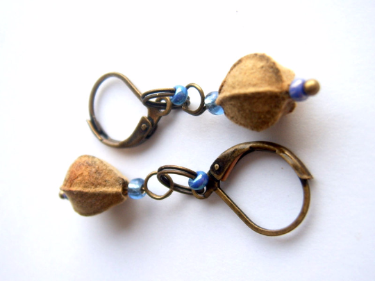 tilia-blau1c.png