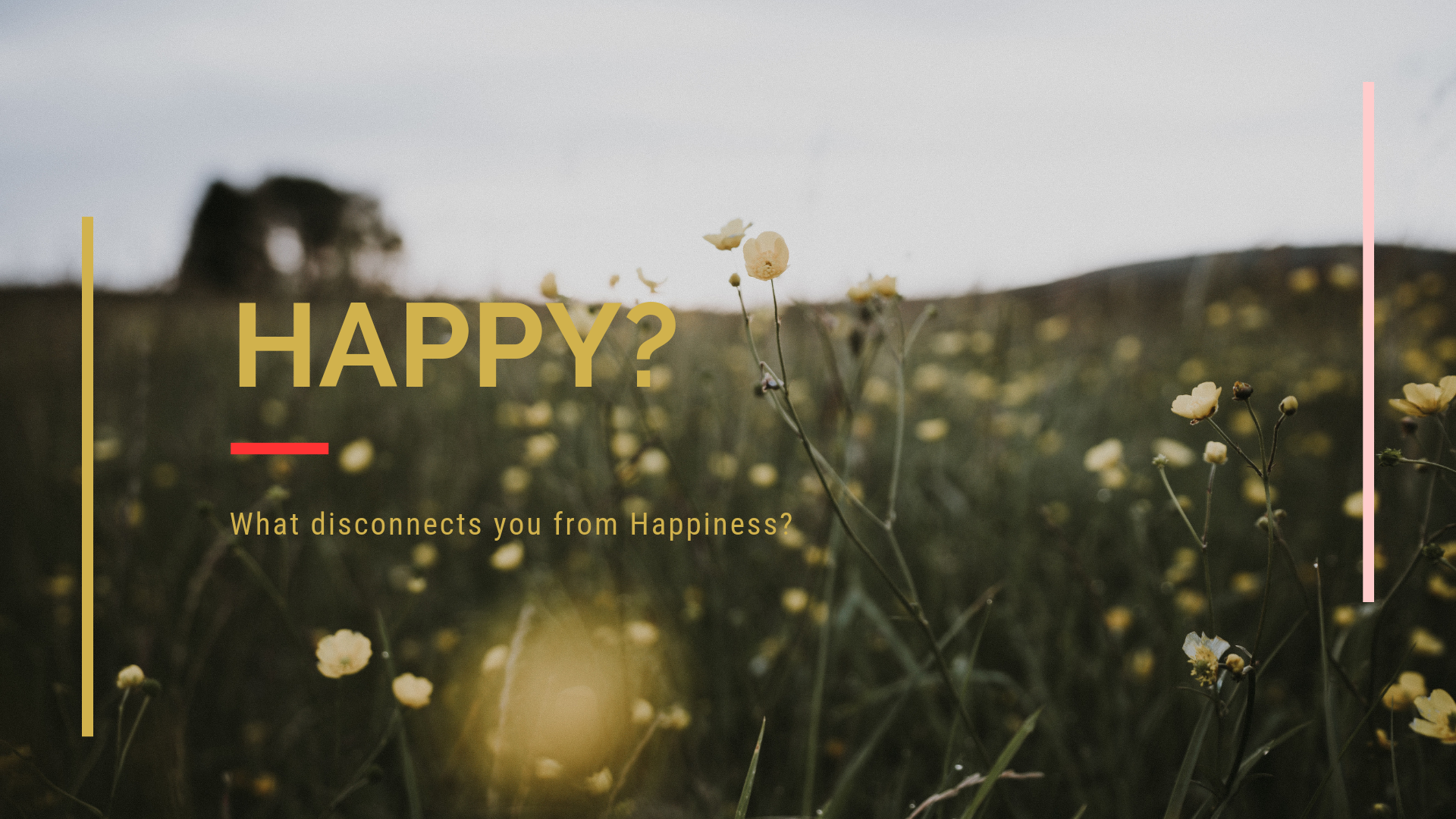 Verena Fay Blog - Happy.png