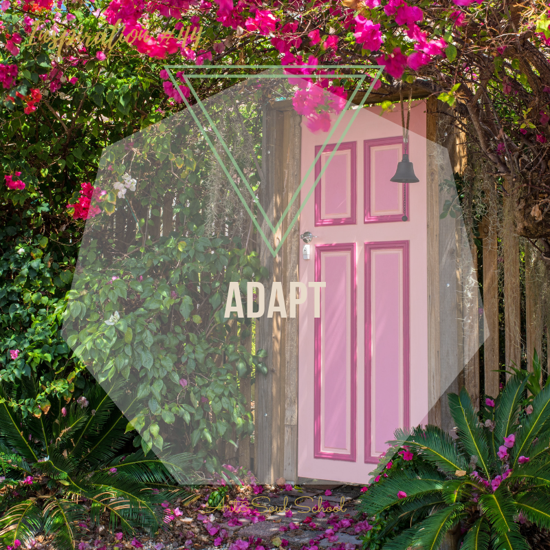 ADAPT Only if you allow things to change you will be able to open the door which holds the next level of experience for you. Adapt to an ever-changing exterior and know deep inside that you carry everything you need in your soul to walk further in life. Let go of anything that does not serve you any longer and free your mind from the old knowings to open up to new knowings. Let the wisdom of your soul begin to take over the exterior world more and more. Like a soft pink blanket. Love is all you are.