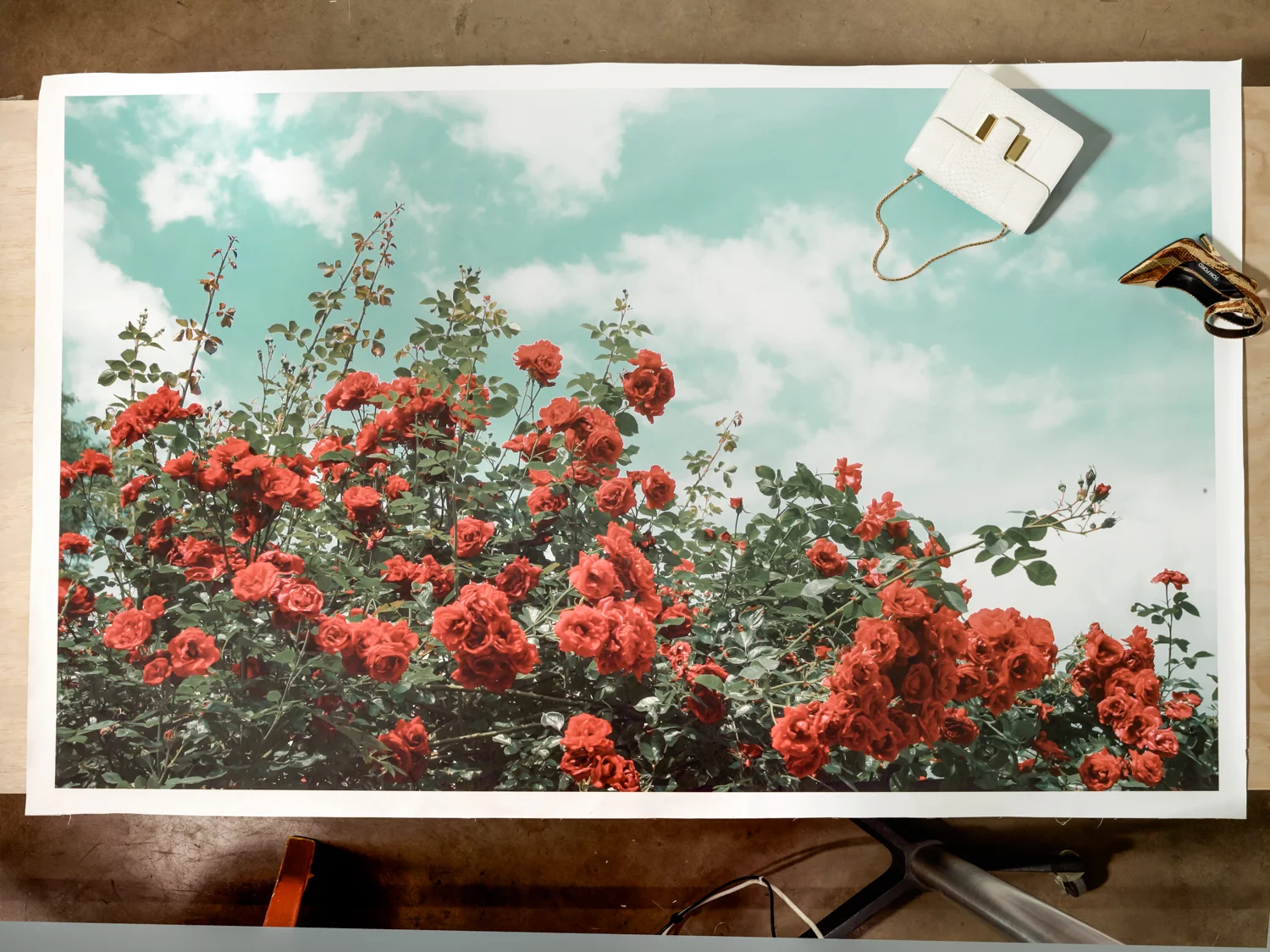 SHOE_ACC_COVER1_GK_S16_061 1COMP.jpg