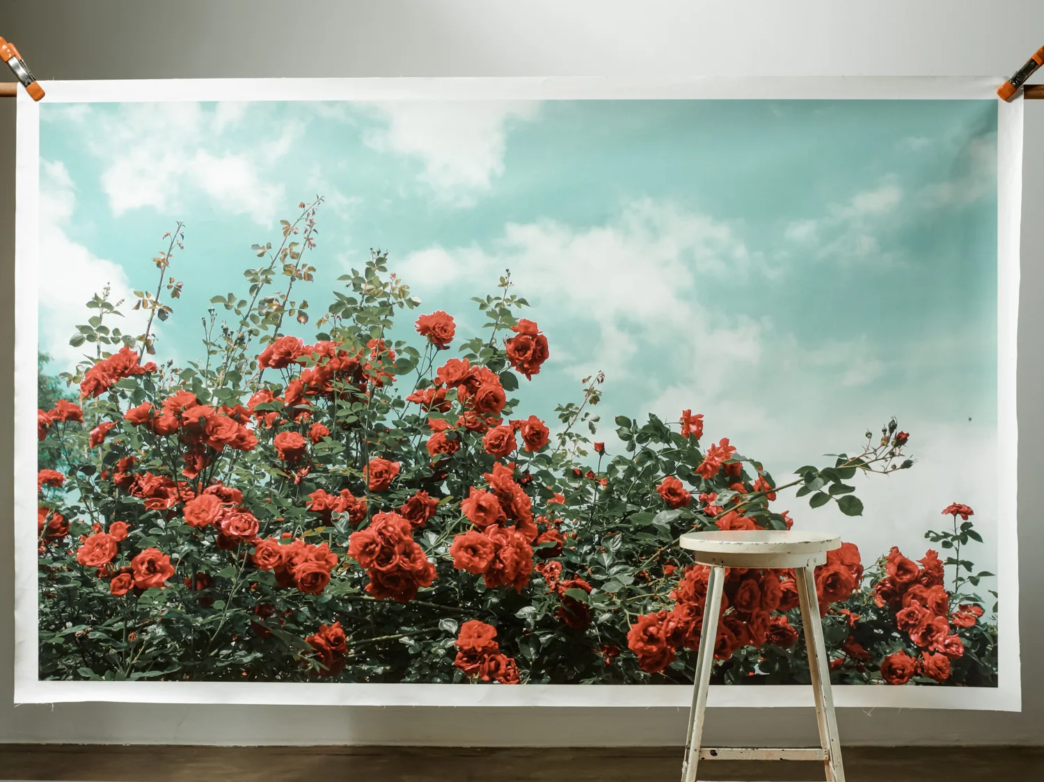 SHOE_ACC_COVER1_GK_S16_070 1COMP.jpg