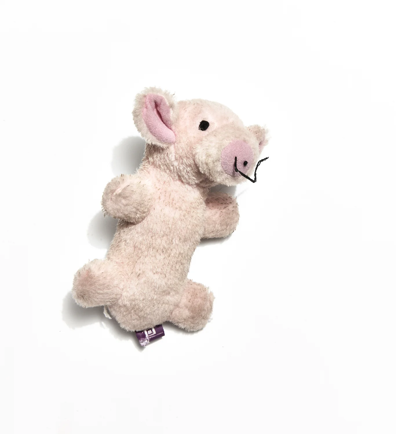 SHO_COV_BACK_JS_F17_035 1.jpg