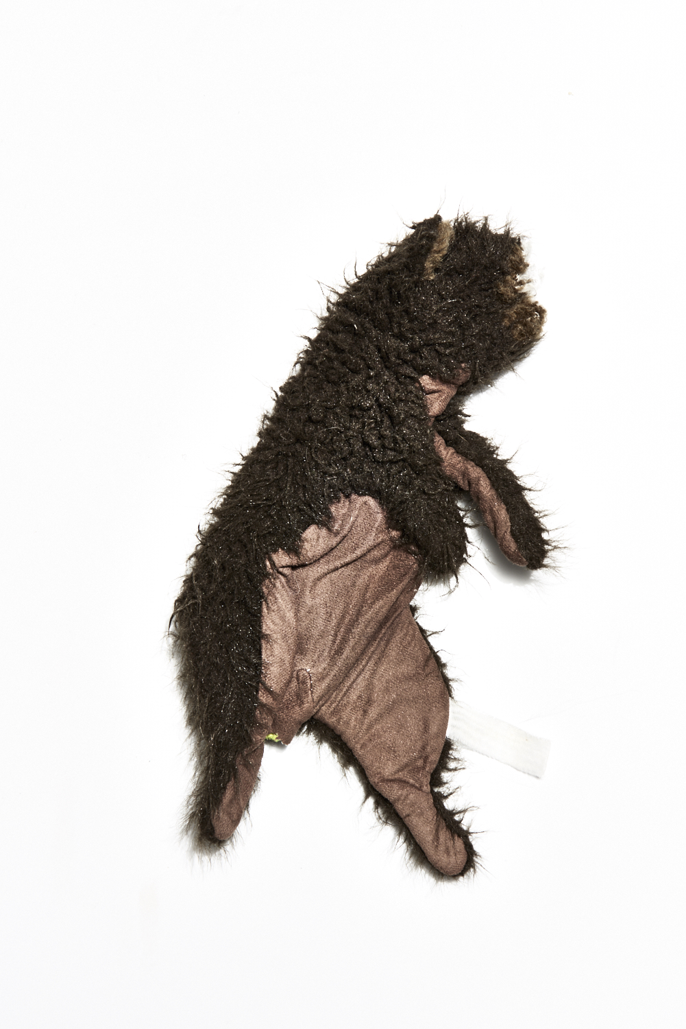 SHO_COV_BACK_JS_F17_037 1.jpg