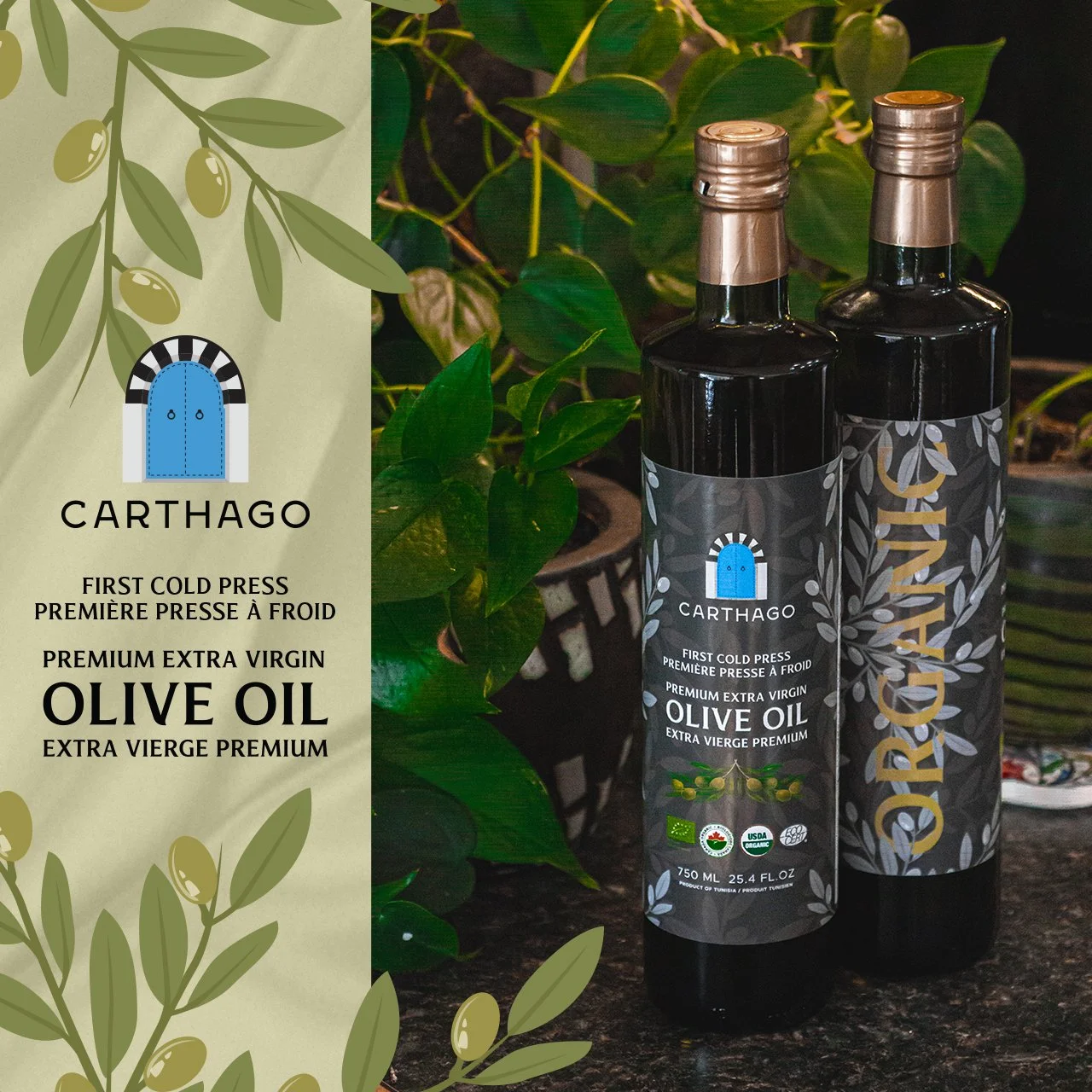 CARTHAGO OLIVE OIL