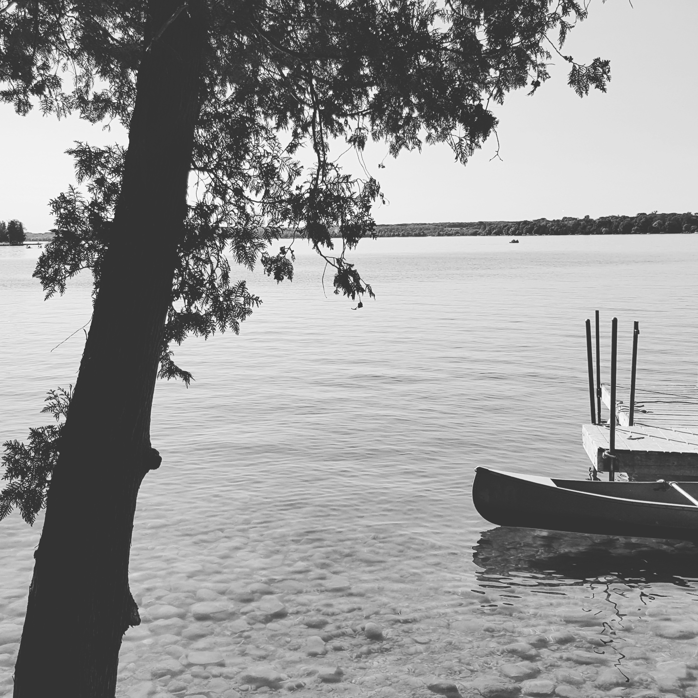 IMG_20160905_210003.jpg