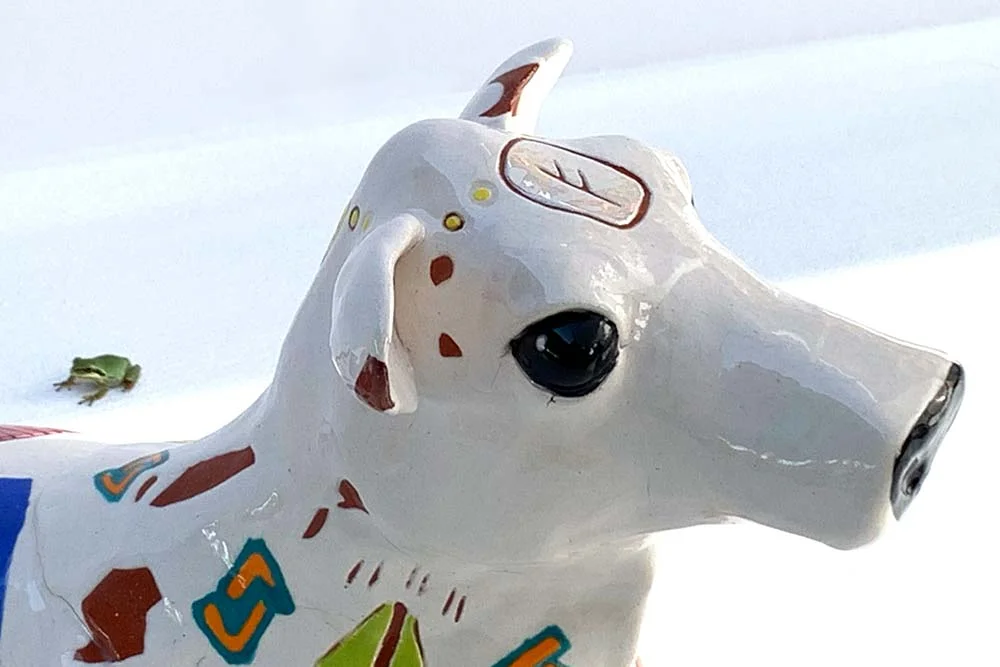 Rosie the Jersey Cow - Rebecca Gerendasy Clay - Art