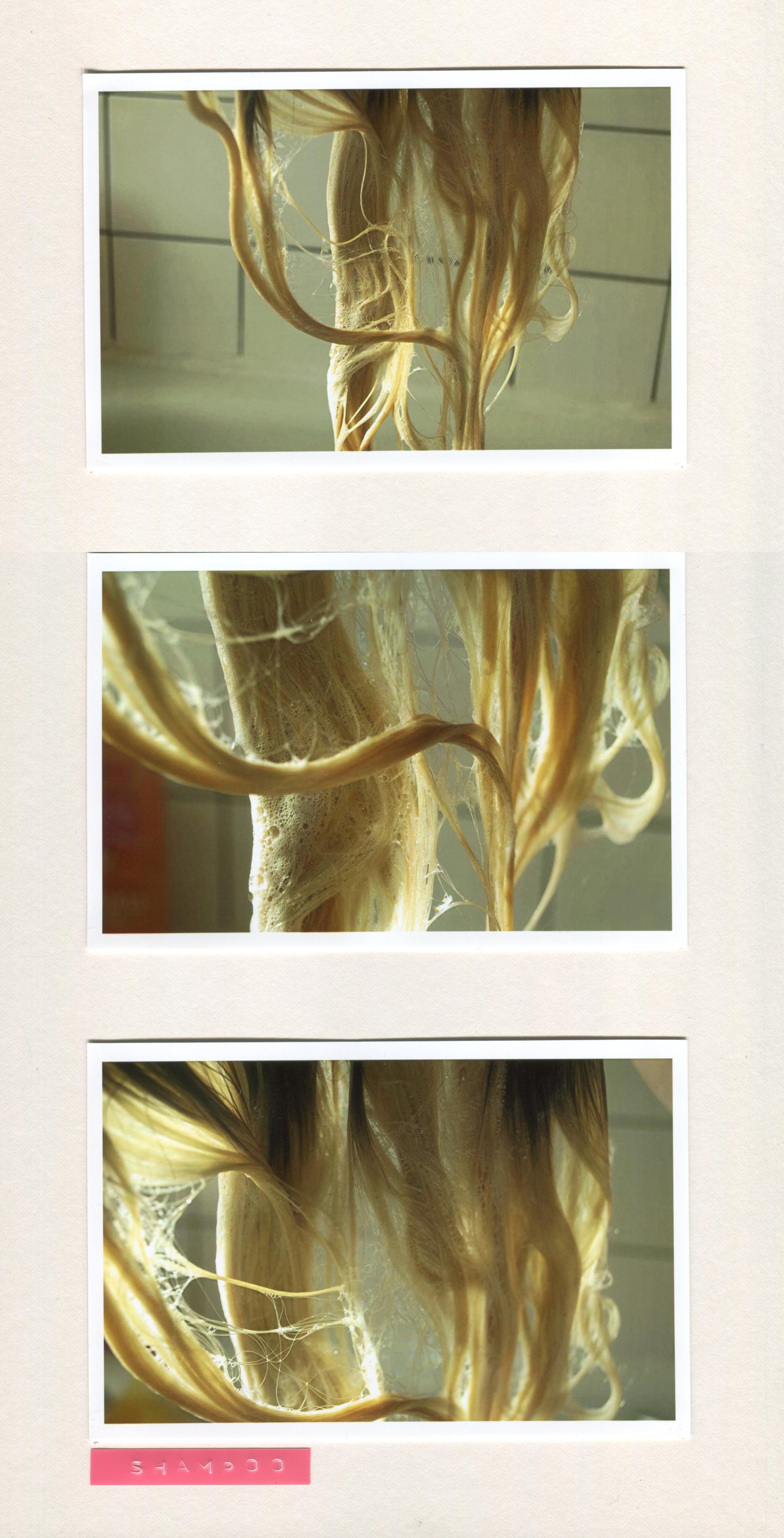 2-Shampoo Triptych .jpg
