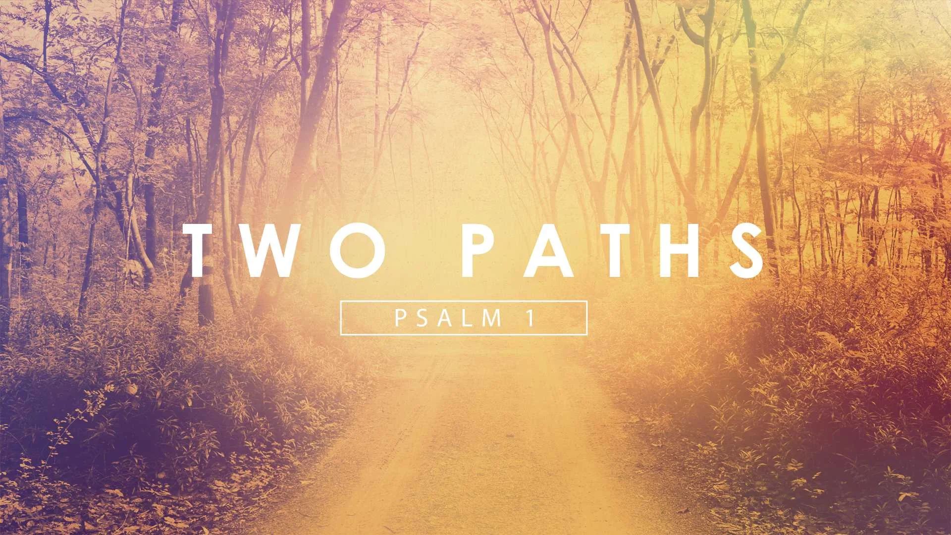 Two Paths