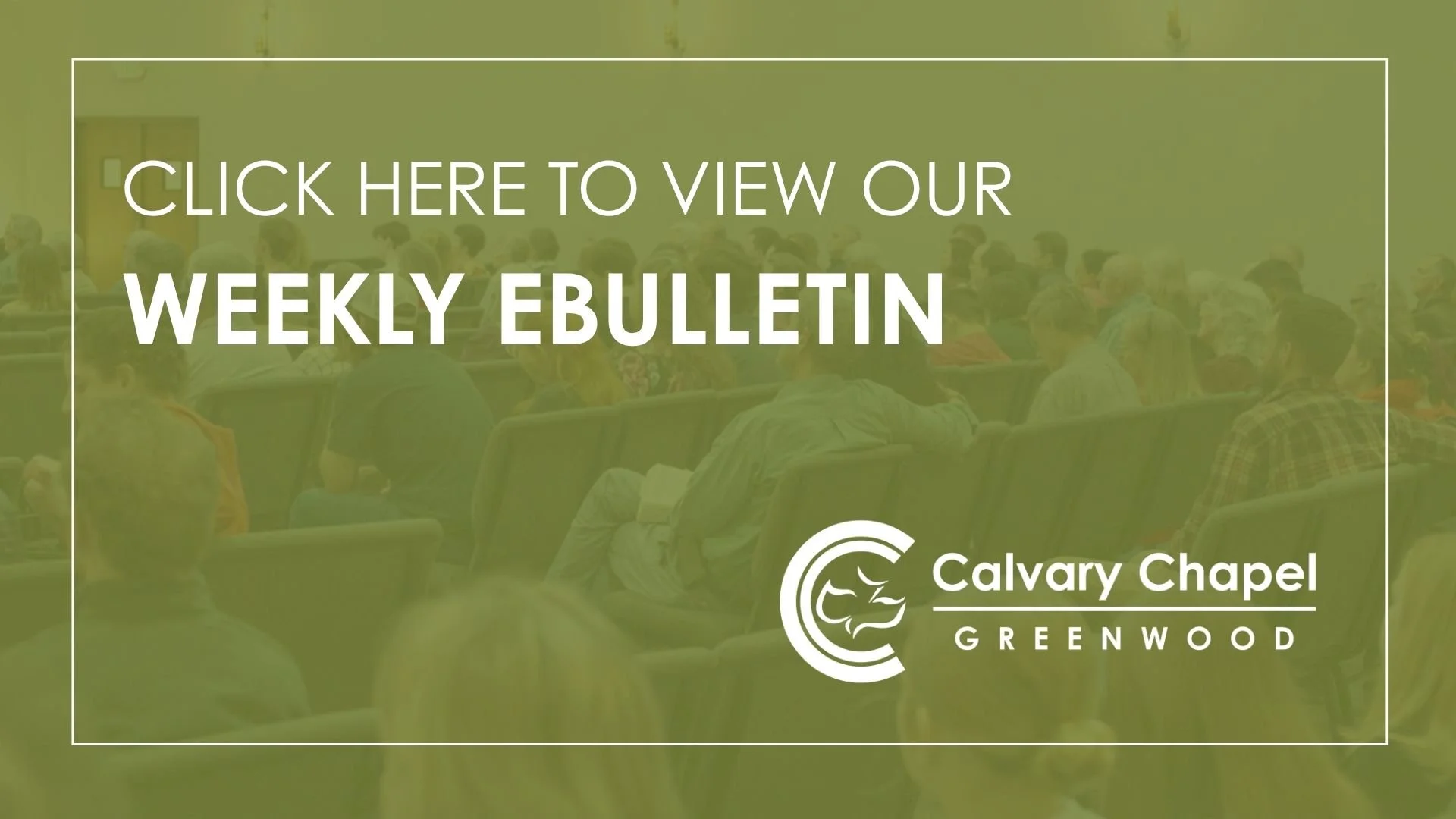 Website Bulletin Graphic (5).jpg