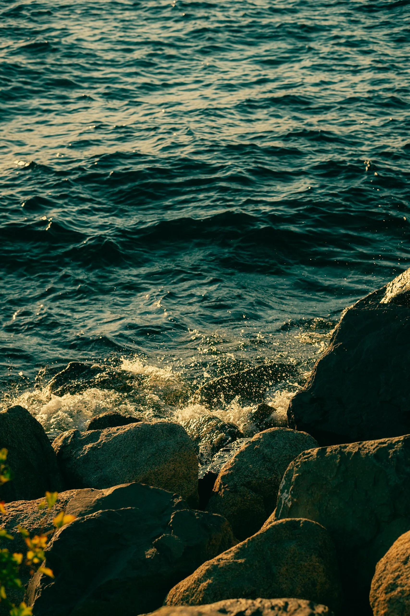 Tahoe 4.jpg