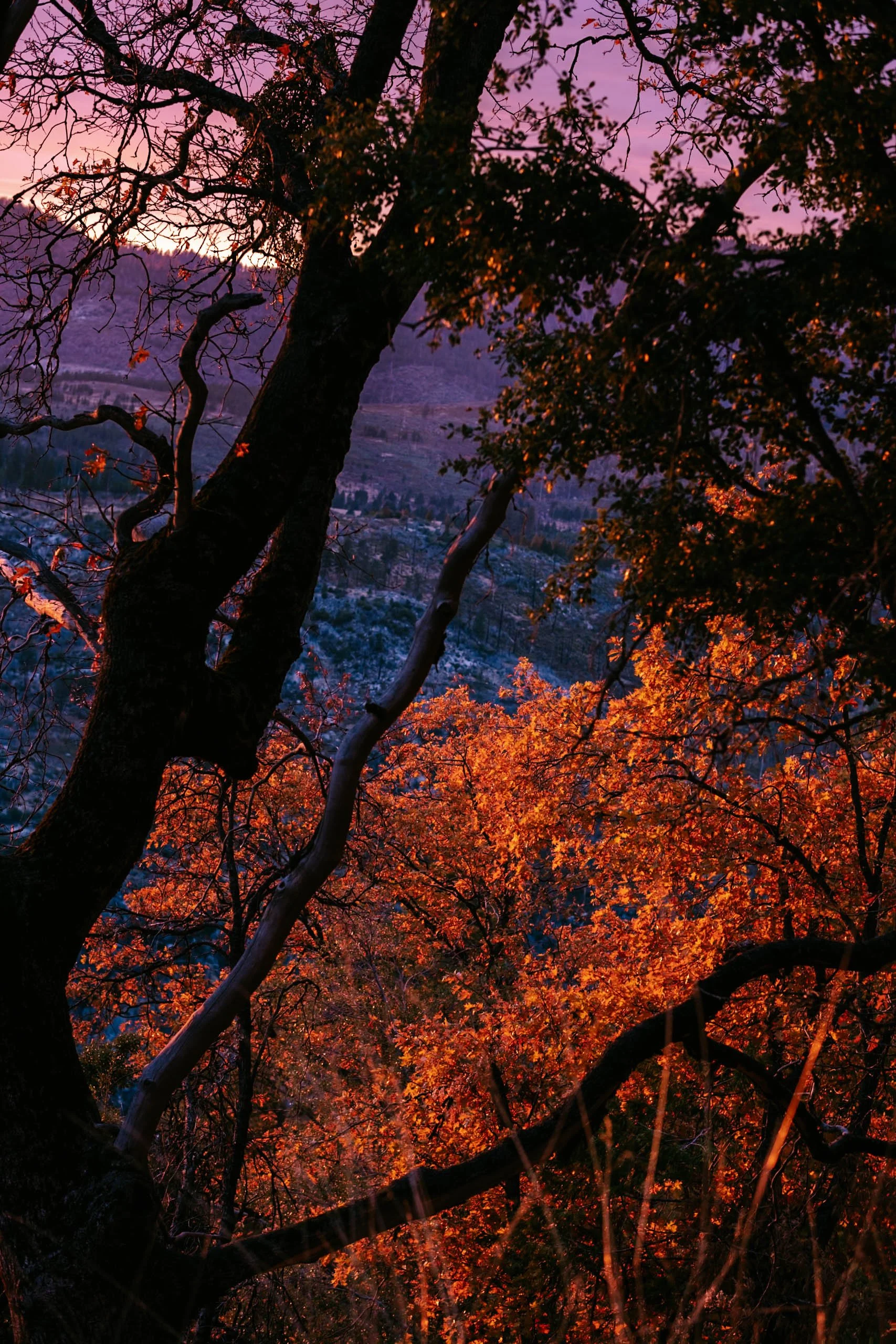 Yosemite 4.jpg