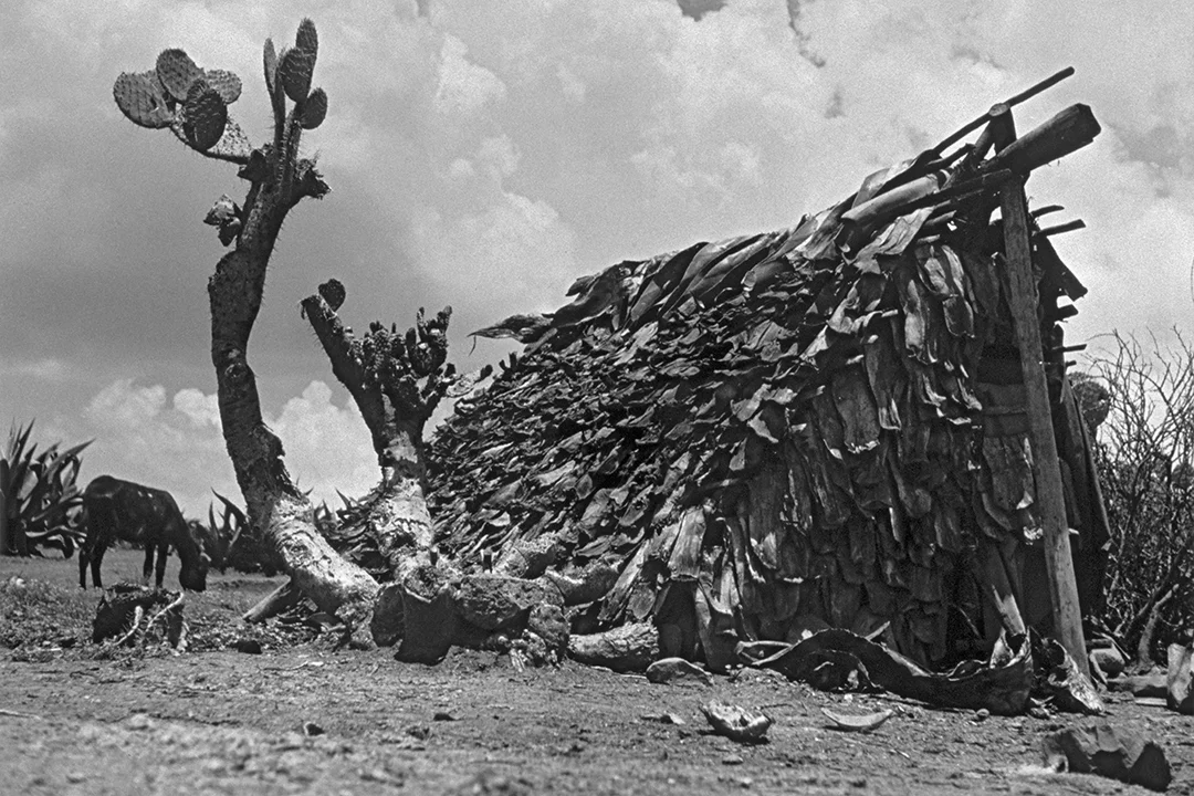 Valle del Mezquital, Hidalgo, 1959