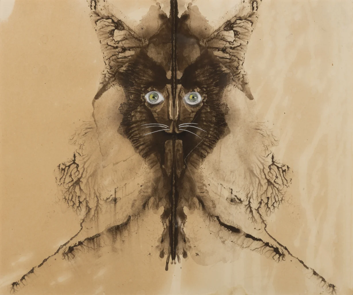 Man cat