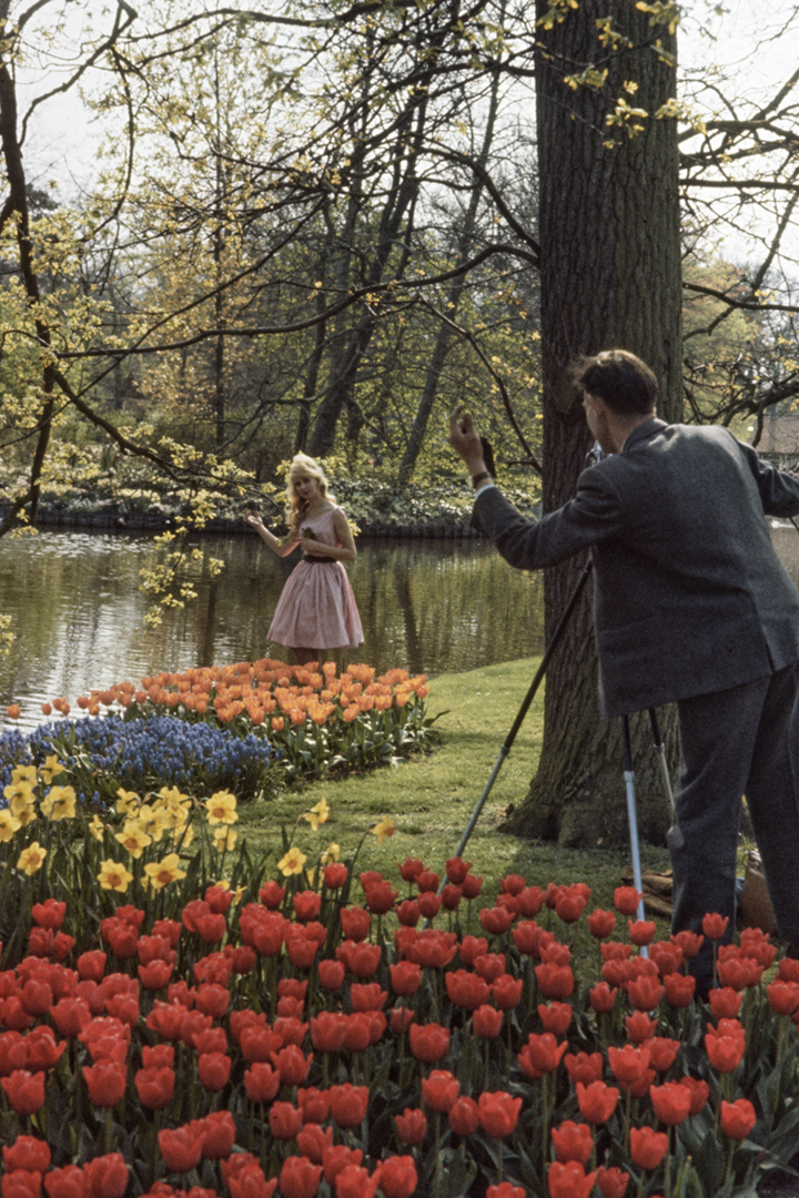 Keukenhof, 1960