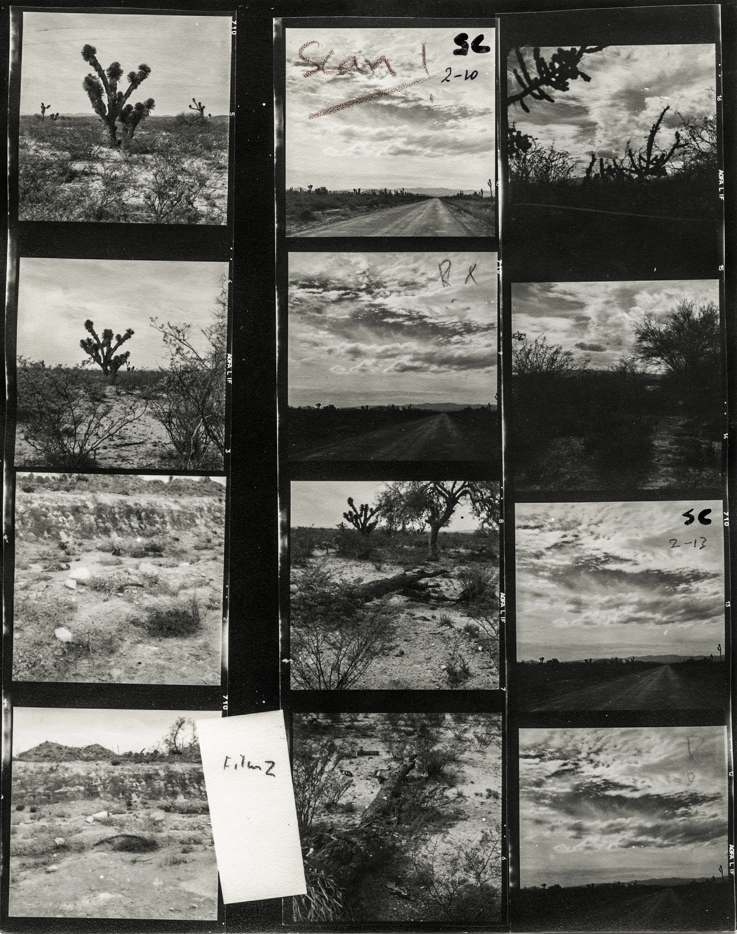 Bob's Contact Sheet of film #2. Mexico. CA.1961.