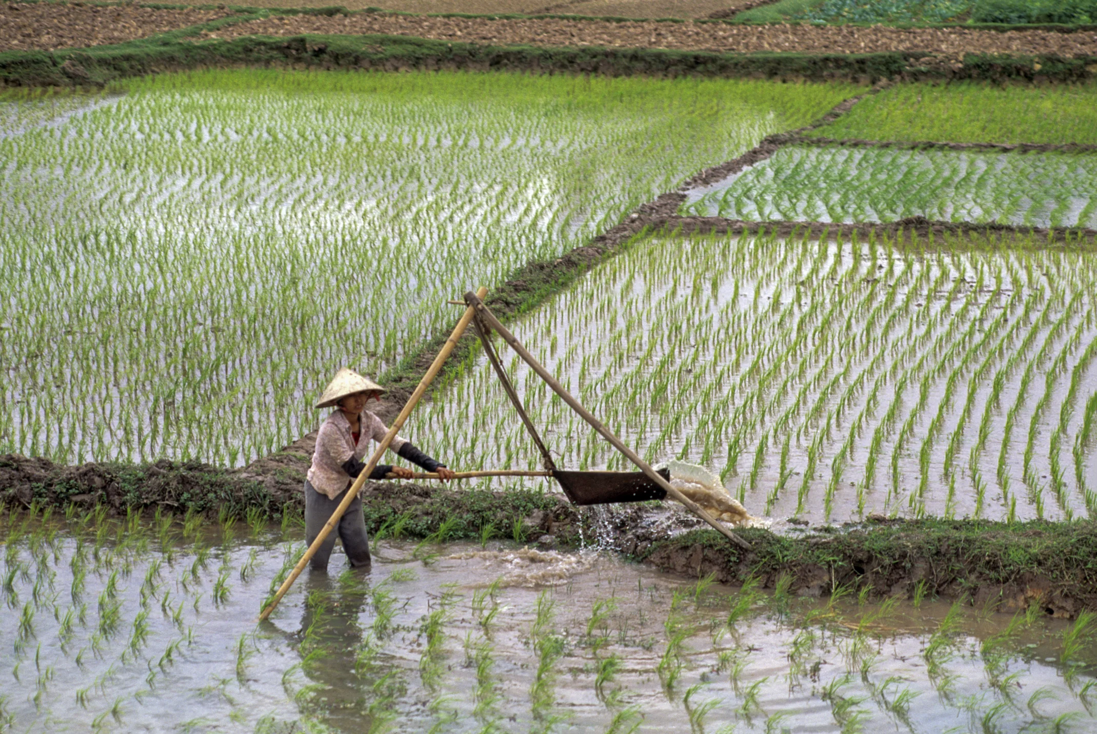 Halong, Vietnam. 1993