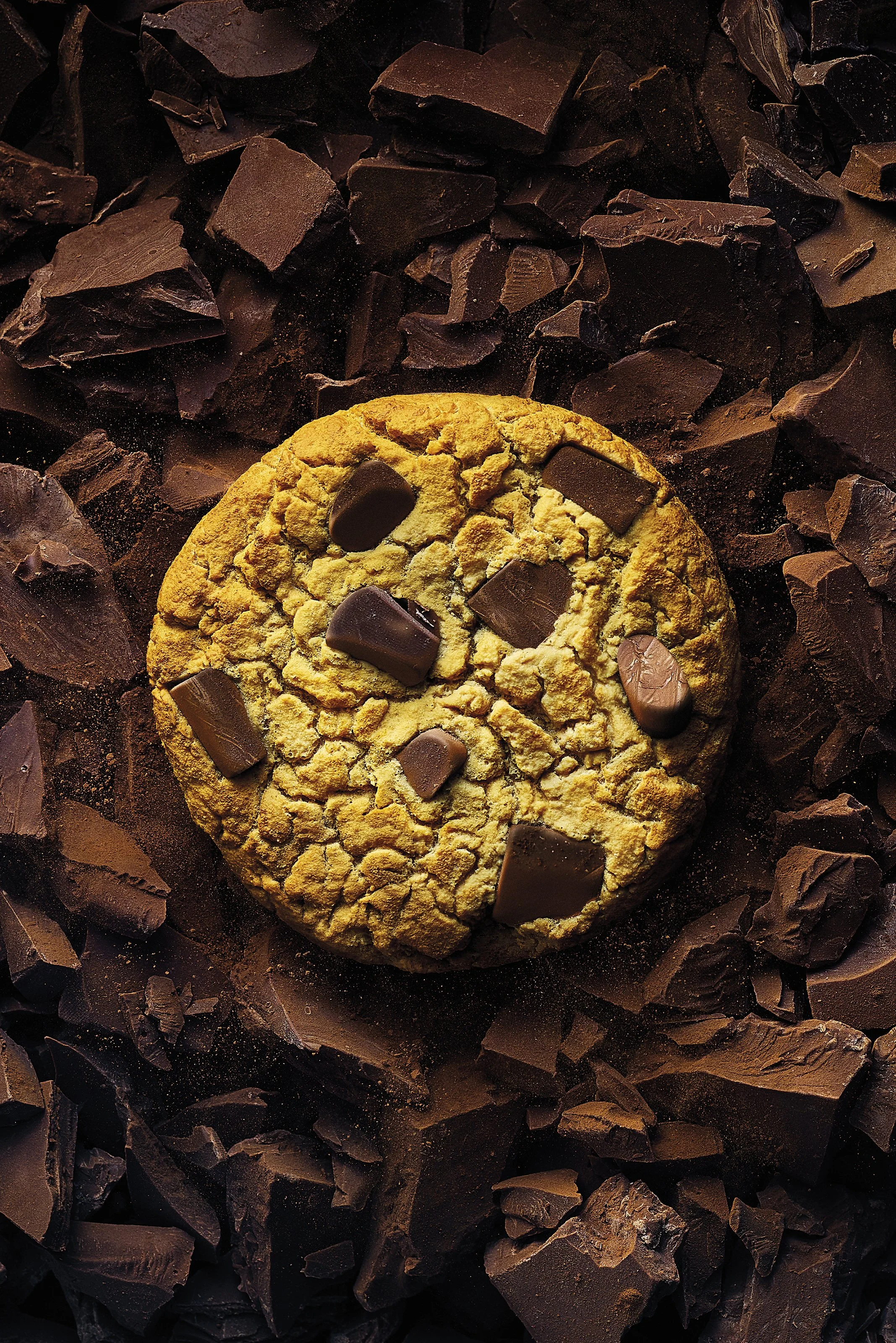 Cookie on chocolate 