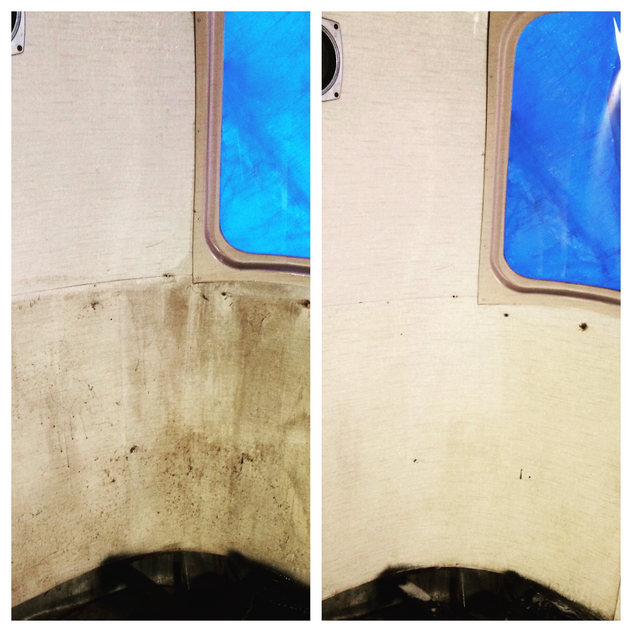 Mold be-gone! Citrus solvent does the trick (and lots of water and scrubbing!)