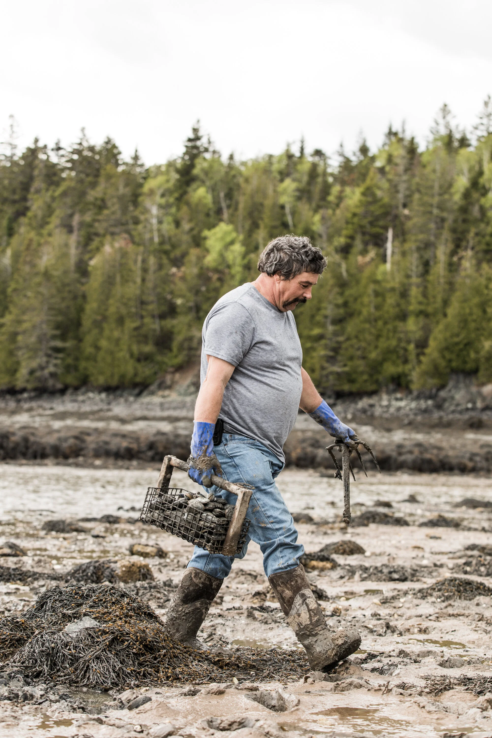 Dave Brown, Clamming in North Lubec “I always go back to digging clams… You're your own boss, there's nobody to bother you. Of course, the hours change, the tide changes an hour a day so as the set tides it gets later and later in the day, right? I started doing clams in Canada but I started sea urchins over here. Back then I was tending divers… you could pick your days, you didn't have to go because you could go every day. You have cold, sub-zero, no you didn't go. Gave a lot of wind? You didn't have to go, but now you do. Around here there's no safe harbor, we don't have government wharfs like they have in Campobello, we don't have big wharfs to tie to like in Bar Harbor and places.. We have to get in a little boat and get out to our big boat. If the wind's blowing it can be dangerous, people have lost their lives doing it. The state says this is the day you go, you try to get to your boat.”