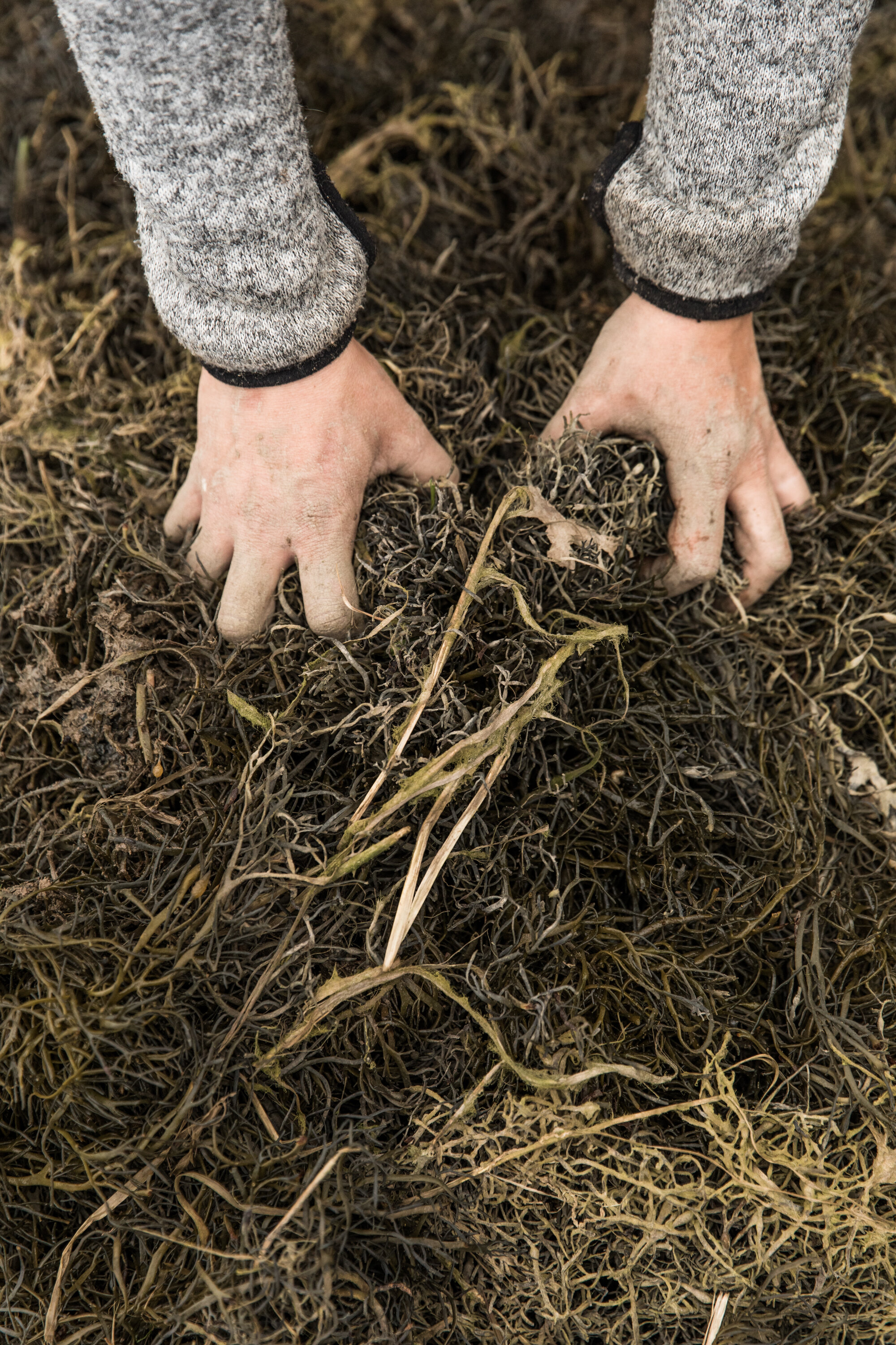   “Maine people are close to the earth and to the seasons. Maine still has a strong resource-based economy, there's this acknowledgment that making a living connected to nature and resources like fishing or farming or the forest that's really honored