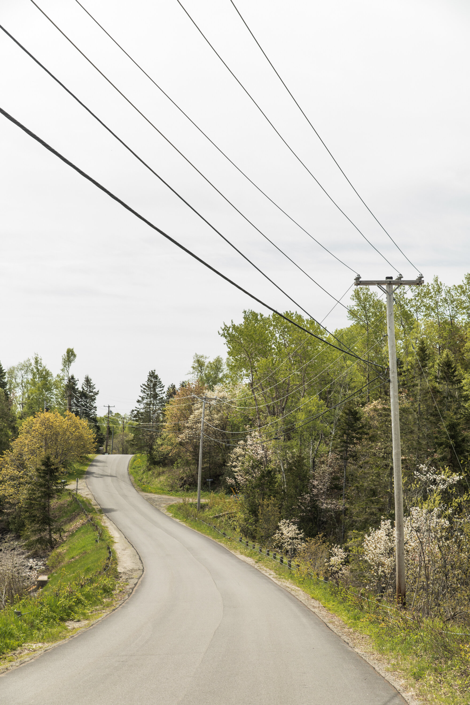   “I think Lubec is on the mend, we're going to become a little tourist town. The factory's are gone, the only thing we got left is a little bit of fishing and we're on the mend, we're building back up again. We had junk shops and restaurants, hotels