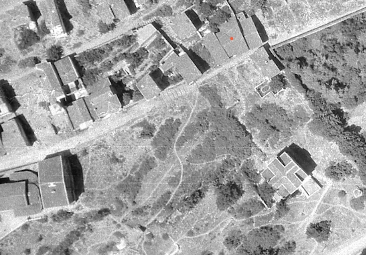 WhatsApp Image 2025-05-13 at 17.41.44.jpeg