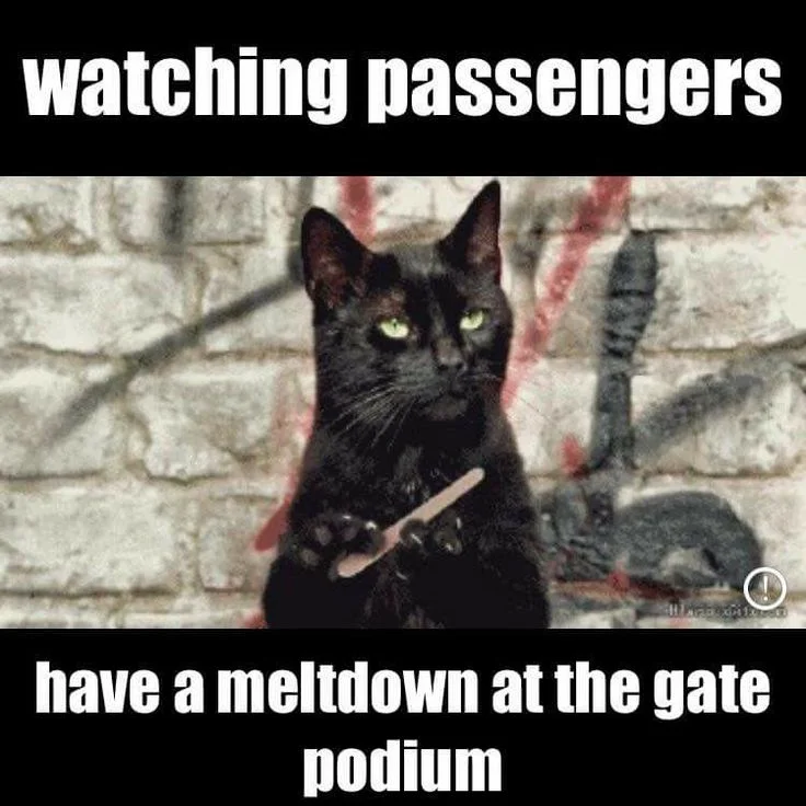 It is highly amusing to me when people are surprised by what budget airlines charge them for and act all indignant. You get what you pay for. I like paying a little bit and fending for myself so I can go on many trips!