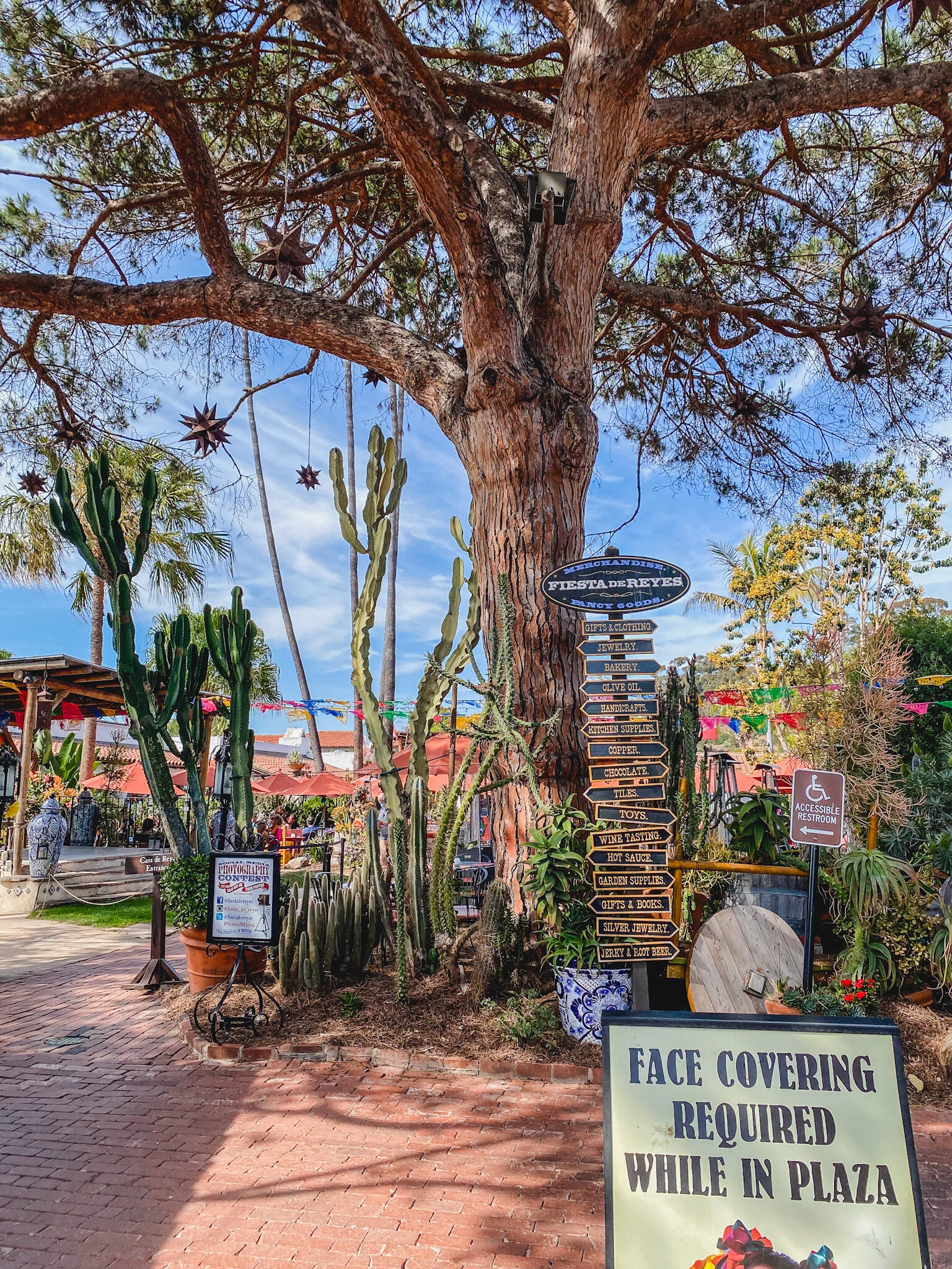 20 Best Activities to Do When Visiting San Diego With Kids | Kids City Guides | San Diego Zoo