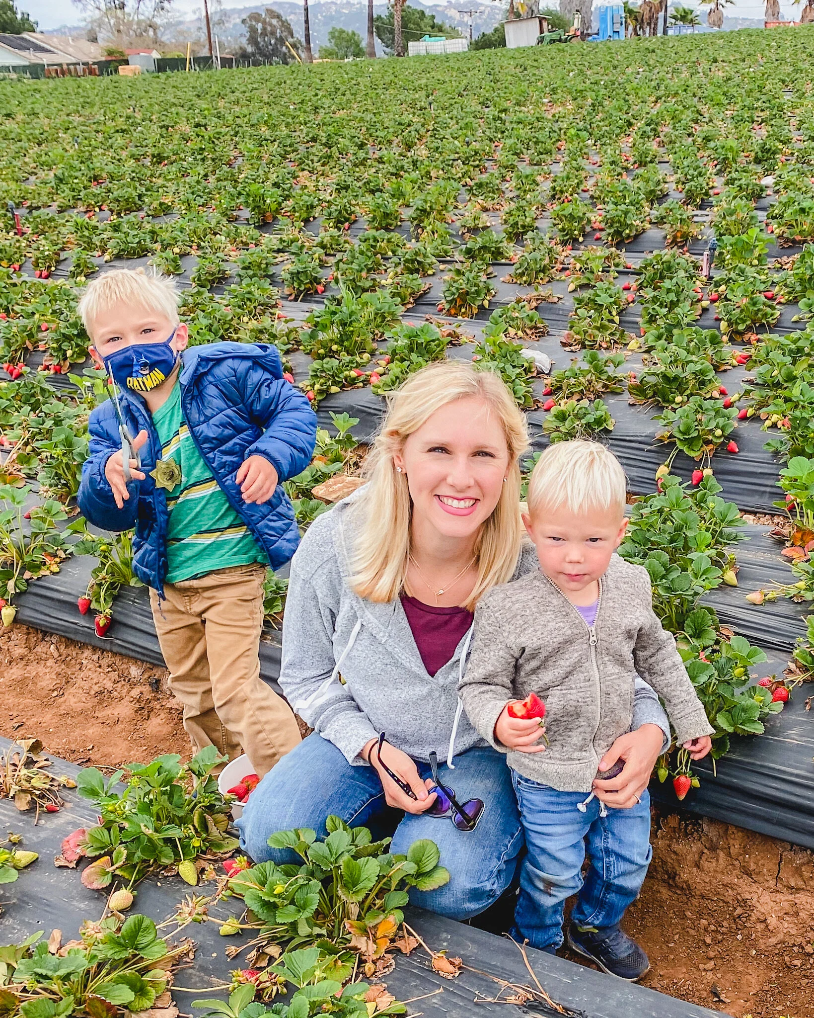 20 Best Activities to Do When Visiting San Diego With Kids | Kids City Guides | Kenny's Strawberry Farm