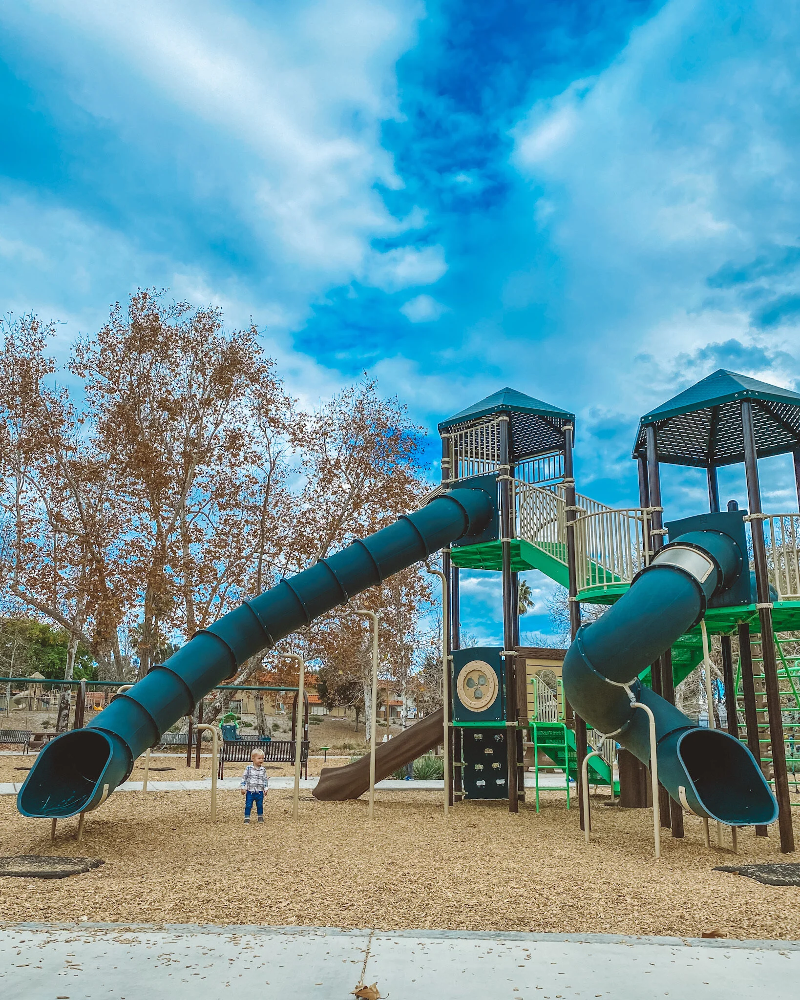 20 Best Activities to Do When Visiting San Diego With Kids | Kids City Guides | Mast Park