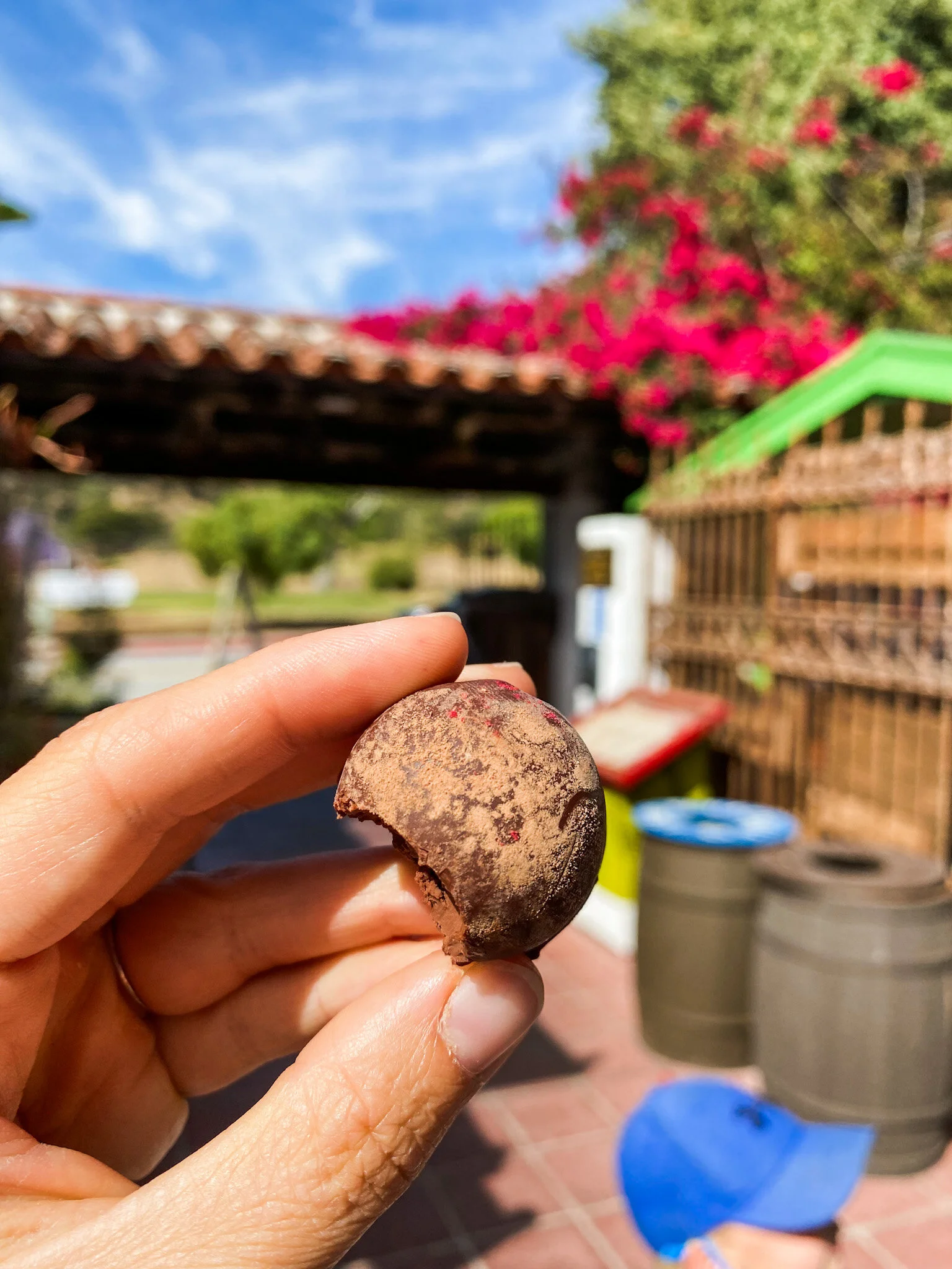 Kids City Guides | 9 Things To Do With Kids in Old Town San Diego