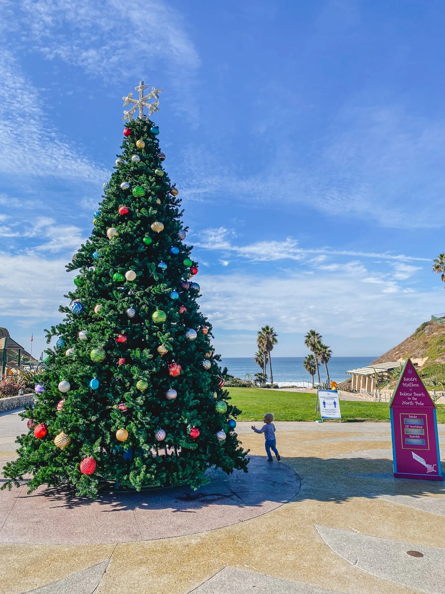 Christmas in San Diego: The Top 20 Activities and Events To Do This Holiday Season With Kids