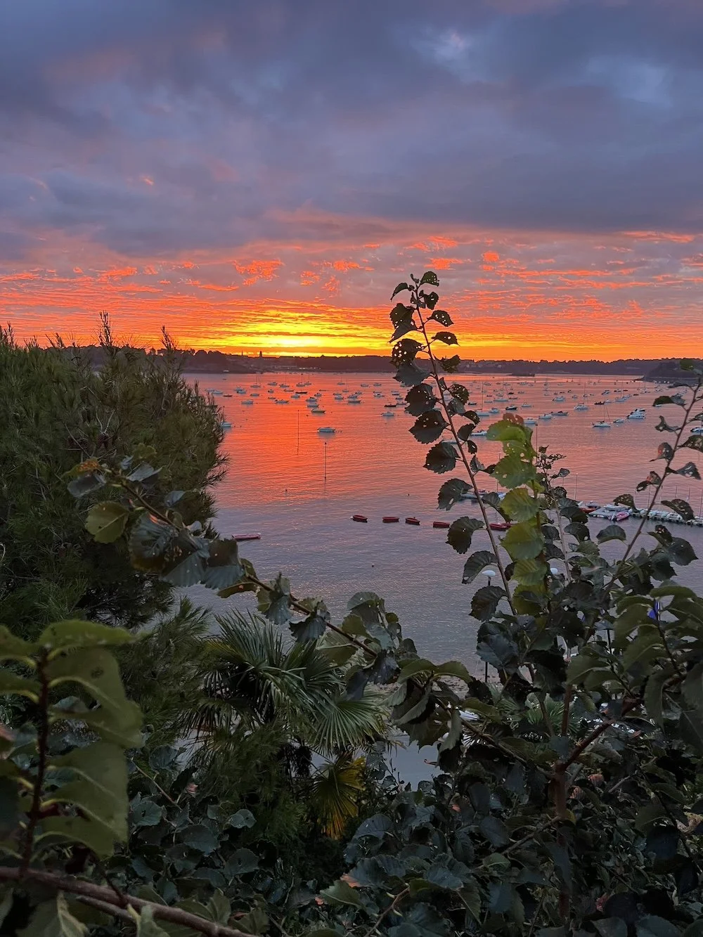 Dinard Harbor Sunset.jpeg
