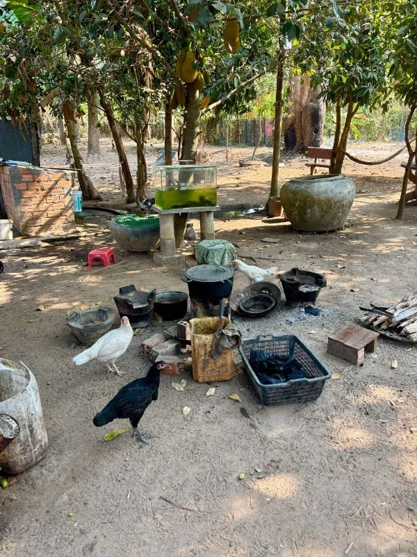 Cambodia 11.jpg