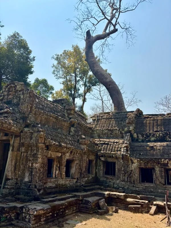 Cambodia 18.jpg