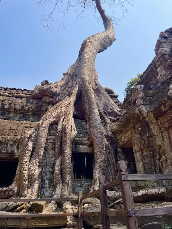 Cambodia 19.jpg