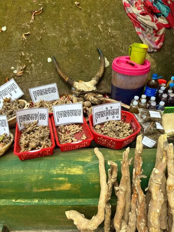 Cambodia 23.jpg