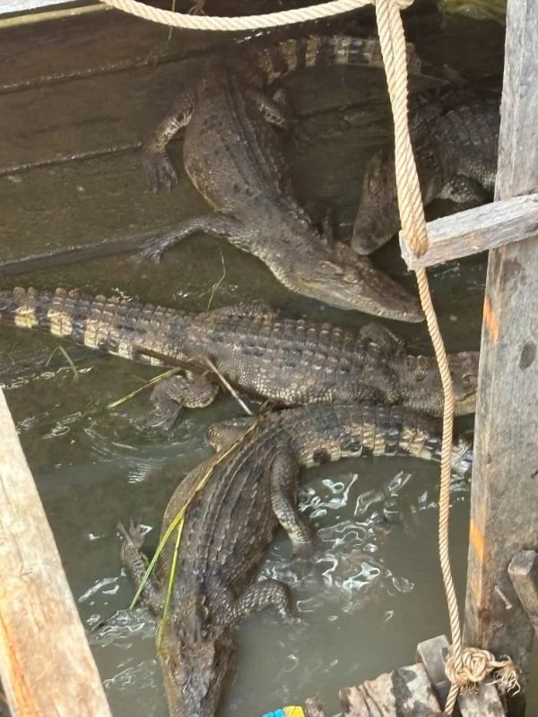 Cambodia 49.jpg