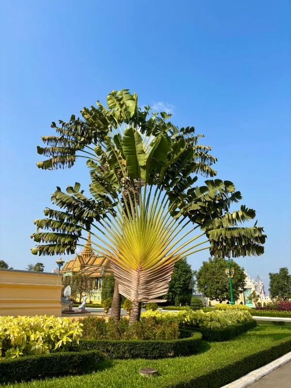 Cambodia 59.jpg