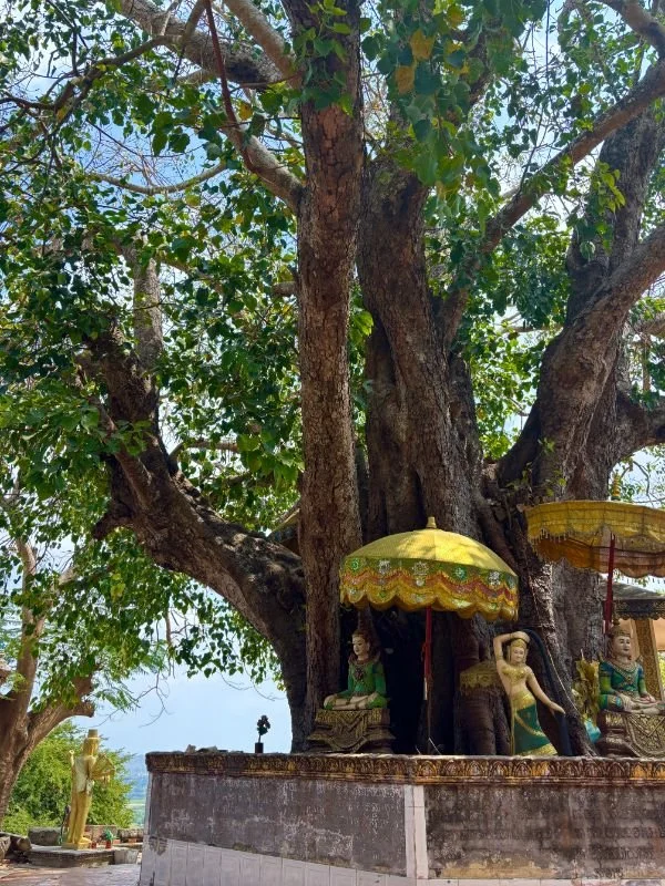 Cambodia 66.jpg